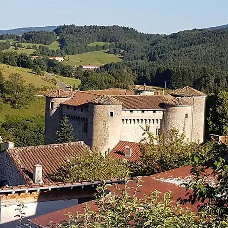 Chateau Des Marcilly Talaru Holiday home