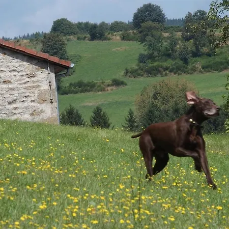 Chateau Des Marcilly Talaru * Chalmazel-Jeansagniere