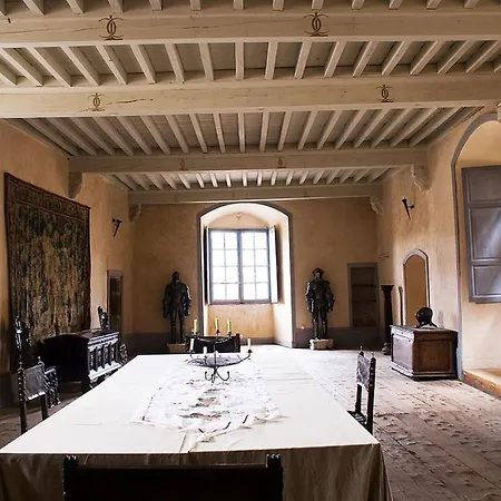 Chateau Des Marcilly Talaru * Chalmazel-Jeansagniere